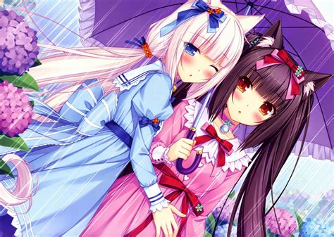 neko anime|NEKOPARA .